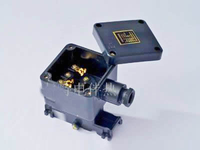 伴热带专用防爆接线盒