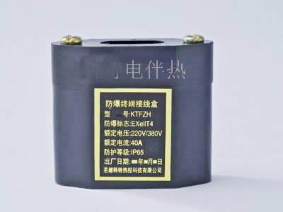 伴热带专用防爆尾端盒